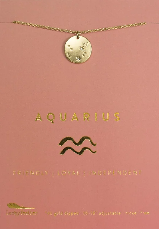 Luxury Meets Affordability – Jewelry Sale Live Now Zodiac Necklace Aquarius