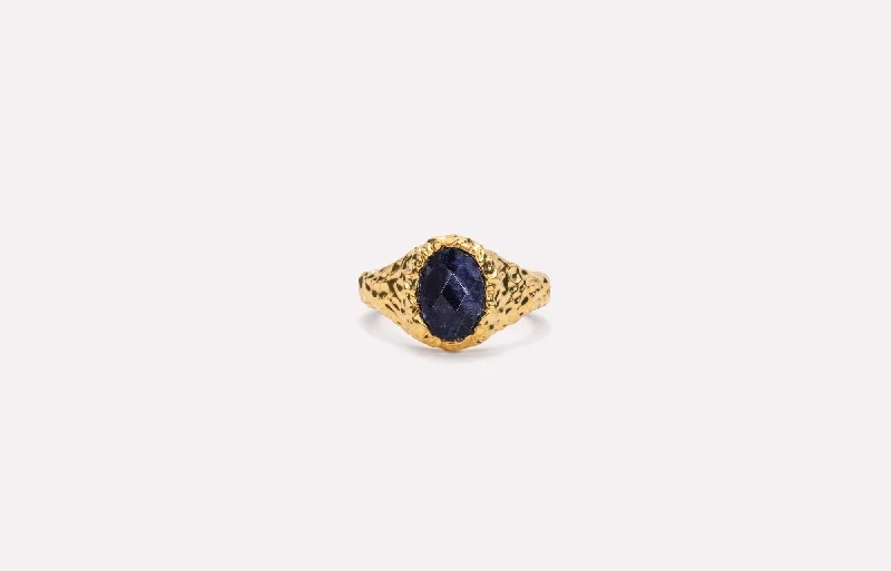 IX Crunchy Ornate Blue Sodalite Signet Gold Plated Ring