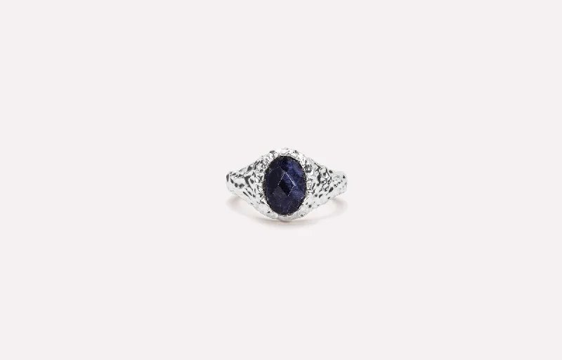 IX Crunchy Ornate Blue Sodalite Signet Ring